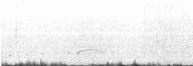 Чёрный хохлатый орёл - ML618166168