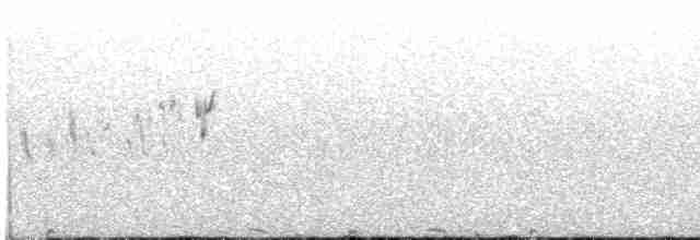 Gallo de las Artemisas Grande - ML618166237