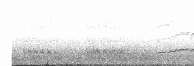 Копетон юкатанський - ML618166881