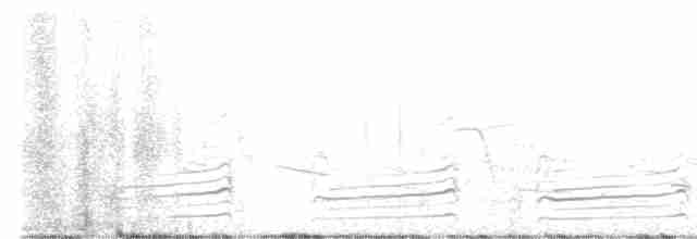 Пятнистый веретенник - ML618167698