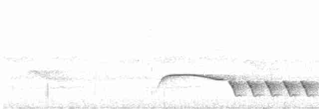 Troglodyte coraya - ML618168403