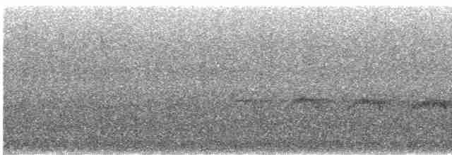 Мурав’янка-прудкокрил перуанська - ML618168639