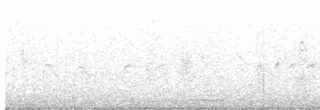 Yellow-throated Warbler - ML618168652