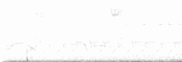 Brown-headed Cowbird - ML618168831
