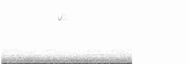 Малая воробьиная овсянка - ML618169950