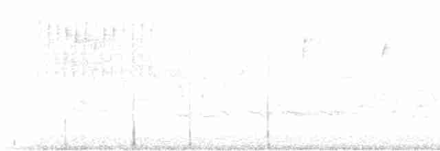 Paruline vermivore - ML618170062