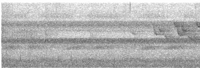 Черногорлая канделита - ML618170273
