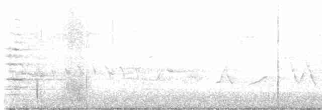Kentucky Warbler - ML618170899