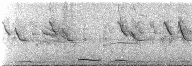 Инкская земляная горлица - ML618171284