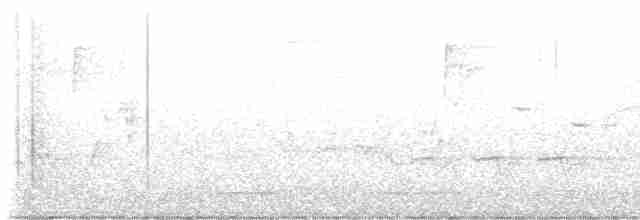 Cerulean Warbler - ML618171517