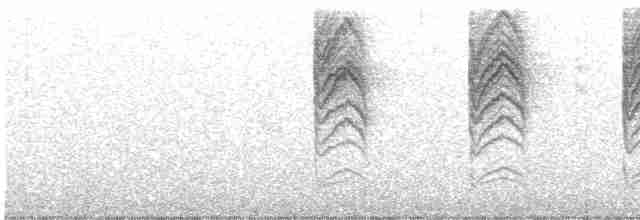 leskot modrošedý [skupina obscura] - ML618171878