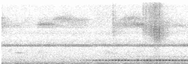 Восточноамериканская совка (mccallii) - ML618171922