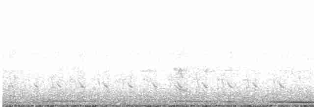 White-tipped Dove - ML618172027
