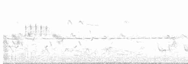 Field Sparrow - ML618172161