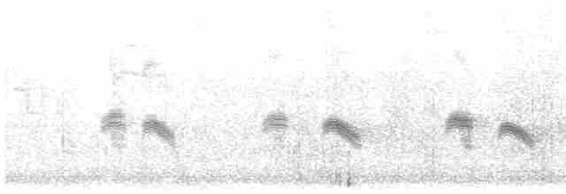 Golondrina Purpúrea - ML618172558