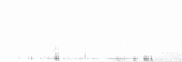 Piquituerto Aliblanco - ML618172661