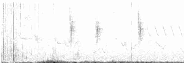 Серогрудый тиранн - ML618173839