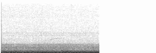 Дрізд-короткодзьоб Cвенсона - ML618174678