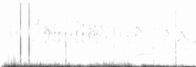 ムナジロアマツバメ - ML618174694