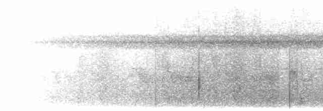 svartnakkemaurvarsler - ML618175097