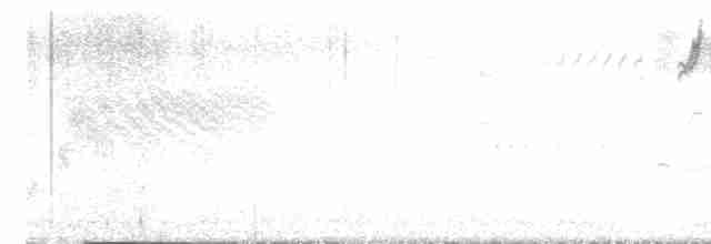 svarthakespurv - ML618175228