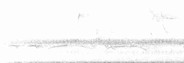Reinita Protonotaria - ML618175637