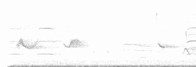Червоїд сіроголовий - ML618175684