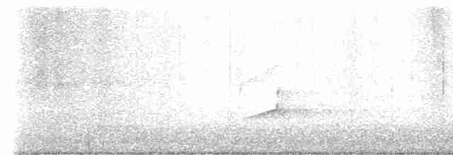 Sarı Karınlı Sinekkapan - ML618176170