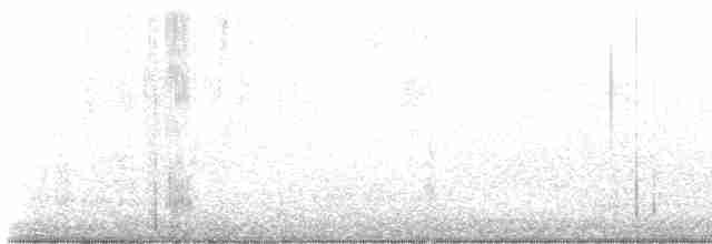 Colibri roux - ML618177102