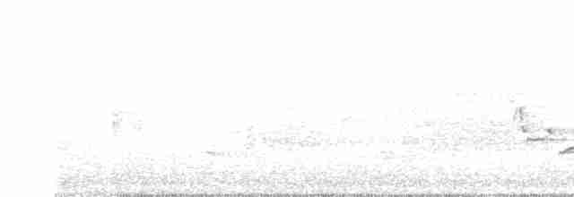 Каролинский крапивник - ML618177214