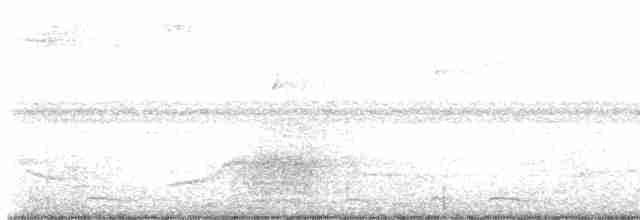Çıplak Gözlü Ardıç - ML618178476