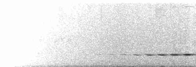 Крапчатый торорой - ML618179539