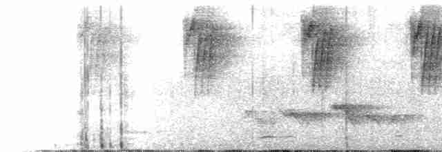 Большеклювый колибри-отшельник (margarettae) - ML618179759