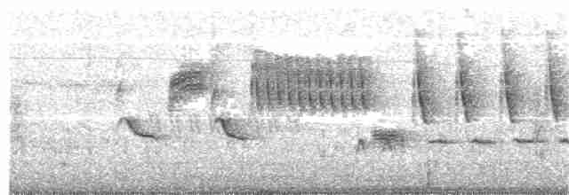Длиннохвостый крапивник - ML61817991