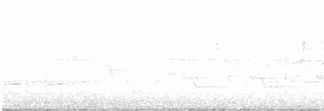 Prairie Warbler - ML618180101