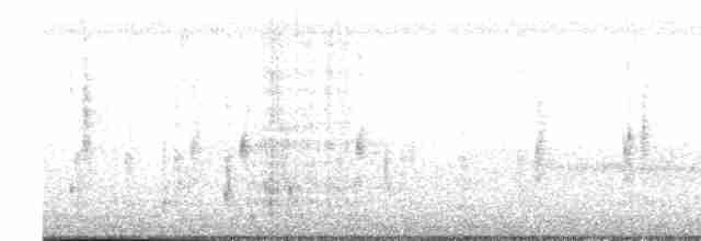 vlhovec červenokřídlý - ML618181328