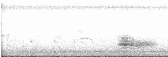 Желтоклювый кассик (holosericeus/flavirostris) - ML618181621