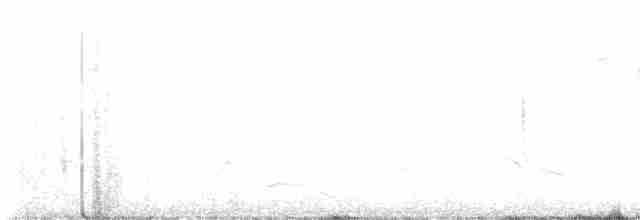 キヅタアメリカムシクイ（coronata） - ML618181640