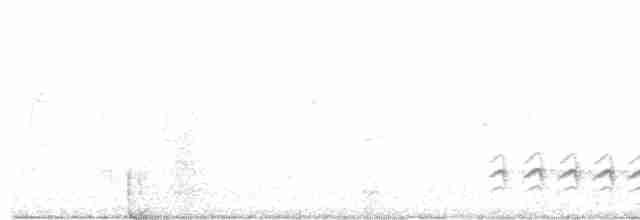 Weißbrustkleiber - ML618181757