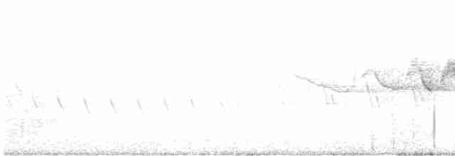 lesňáček modrohřbetý - ML618182169