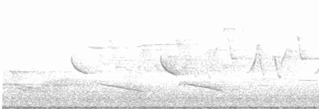 Common Yellowthroat - ML618183811