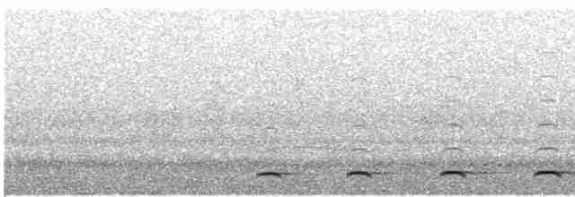 Сичик-горобець гірський (підвид gnoma) - ML618184334