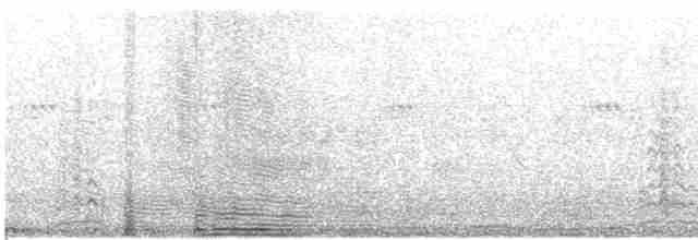 Moqueur à bec courbe (groupe curvirostre) - ML618186141