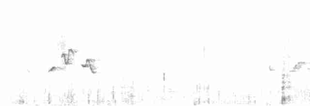 Pouillot de Whistler - ML618187070