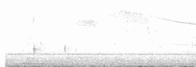 lesňáček modrokřídlý - ML618188011