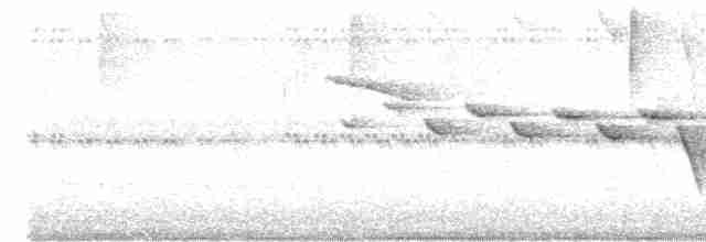 Flavescent Warbler - ML618189457