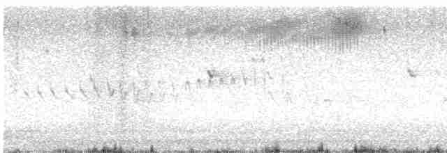 Кузнечиковая овсянка-барсучок - ML618190435