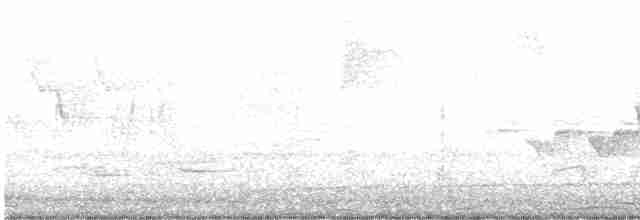 Hooded Warbler - ML618190586