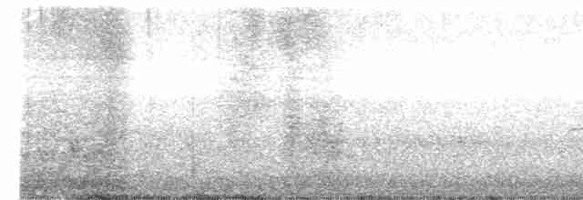 Сероголовый виреон - ML618191066
