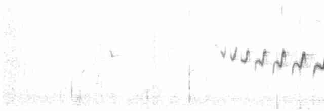 Каньонный крапивник - ML618191150